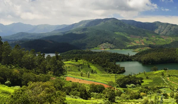 Nilgiris District, Tamil Nadu: Area, Population, History, Tourist Places, PIN Codes & Important Facts (2026)